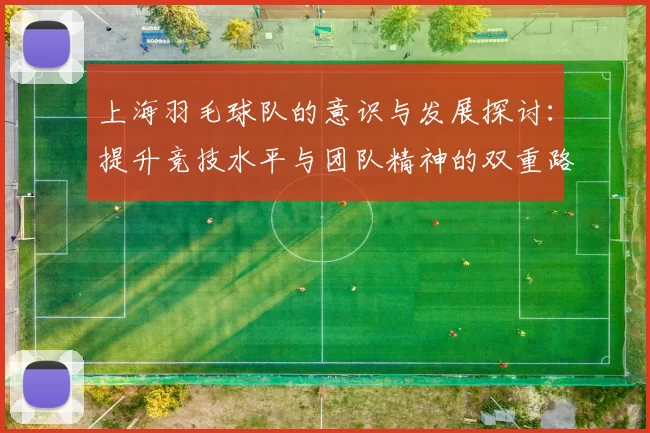上海羽毛球队的意识与发展探讨：提升竞技水平与团队精神的双重路径
