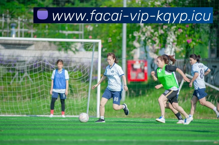 乐鱼体育品牌故事