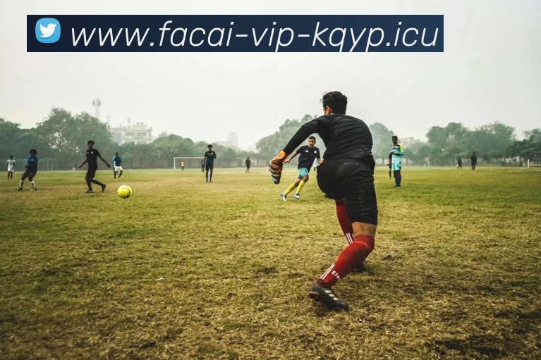 乐鱼体育服务体系